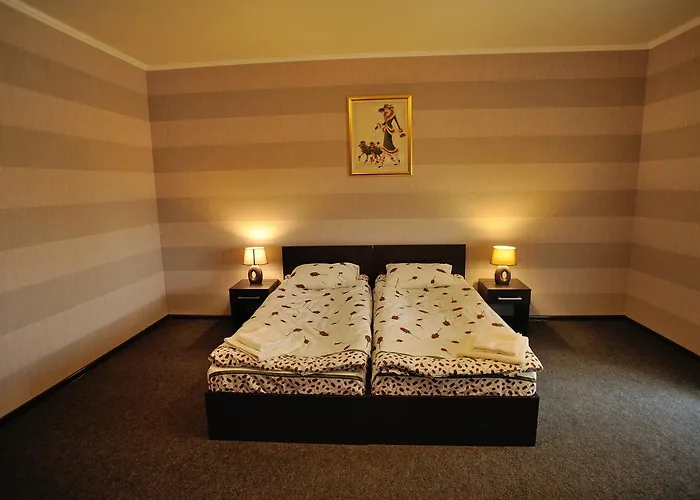 Vulyk Motel *